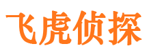 盐源市侦探公司